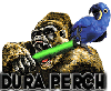 DP Logo